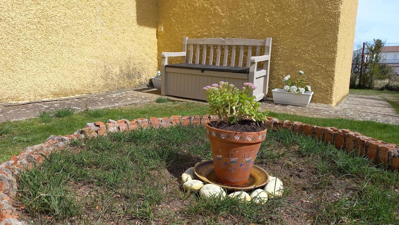 Casa Rural Alameda Con Chimenea Y Jardin El Barco de Avila Ngoại thất bức ảnh